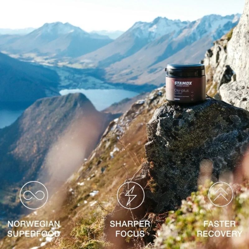 Stamox Patentert Rødbetekstraktpulver